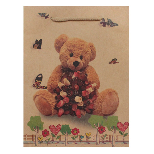 Paket_16_15x20x6_detskiy_print