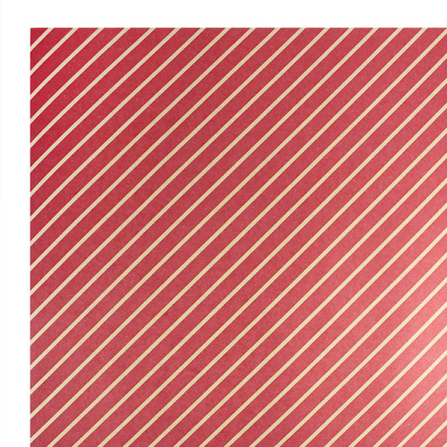 bumagaupak_poloska_49sm_01_102484