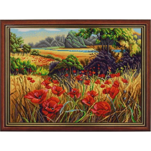 KONEK_7818pole_makov