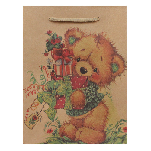 Paket_17_15x20x6_detskiy_print