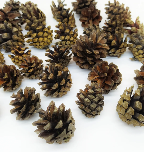 lbbhn0faiguxpeoj90klylm16zvtna8c