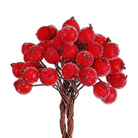 yagody-dekorativnye-1_2-sm-red