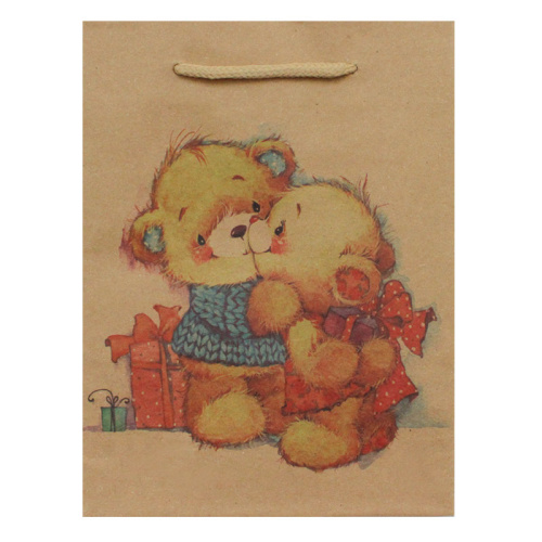 Paket_13_15x20x6_detskiy_print